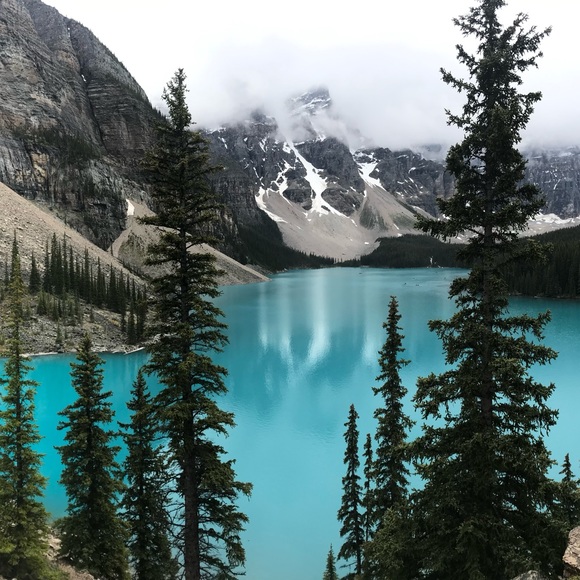 Meet your Posher, Julie - Picture 3 of 10